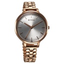 Titan Secluded Quartz Analog Silver Dial Metal Strap Watch For Women