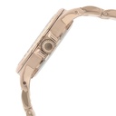 Titan Quartz Analog Champagne Dial Stainless Steel Strap Watch for Women