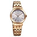 Titan Workmode Quartz Analog Silver sunray dial Dial Stainless Steel Strap Watch For Women