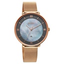 Titan Workwear Mother Of Pearl Dial Analog with Date Stainless Steel Strap watch for Women