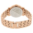 Titan Quartz Analog with Day and Date Rose Gold Dial Metal Strap Watch for Women