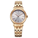 Titan Workmode Quartz Analog Silver sunray dial Dial Stainless Steel Strap Watch For Women