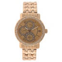Titan Quartz Analog with Day and Date Rose Gold Dial Metal Strap Watch for Women