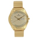 Titan 1578YM05 Quartz Analog with Day and Date Champagne Dial Golden Stainless Steel Strap Watch For Men