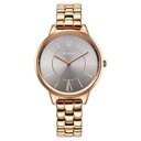 Titan Neo Quartz Analog Grey Dial Rose Gold Metal Strap Watch For Women