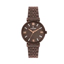 Logues Quartz Analogue Brown Dial Brown Metal Strap Watch For Women
