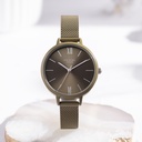 Sonata Poze Quartz Analog Green Dial Mesh Strap Watch for Women