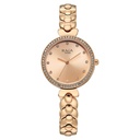 Titan Raga Showstopper Quartz Analog Rose Gold Dial Rose Gold Metal Strap Watch For Women