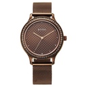 Titan Purple Superheads Quartz Analog Brown Dial Brown Stainless Steel Strap Watch For Women