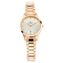 Titan Quartz Analog with Date Silver Dial Metal Strap Watch for Women