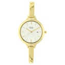 Titan Raga Viva Champagne Dial Analog with Date Strap watch for Women