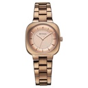 Titan Horizon Quartz Analog Brown Dial Stainless Steel Strap Watch For Women