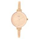 Titan Raga Viva Quartz Analog Rose Gold Round Dial Rose Gold Metal Strap Watch For Women