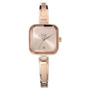 Titan Raga Viva Rose Gold Dial Women Watch With Metal Strap